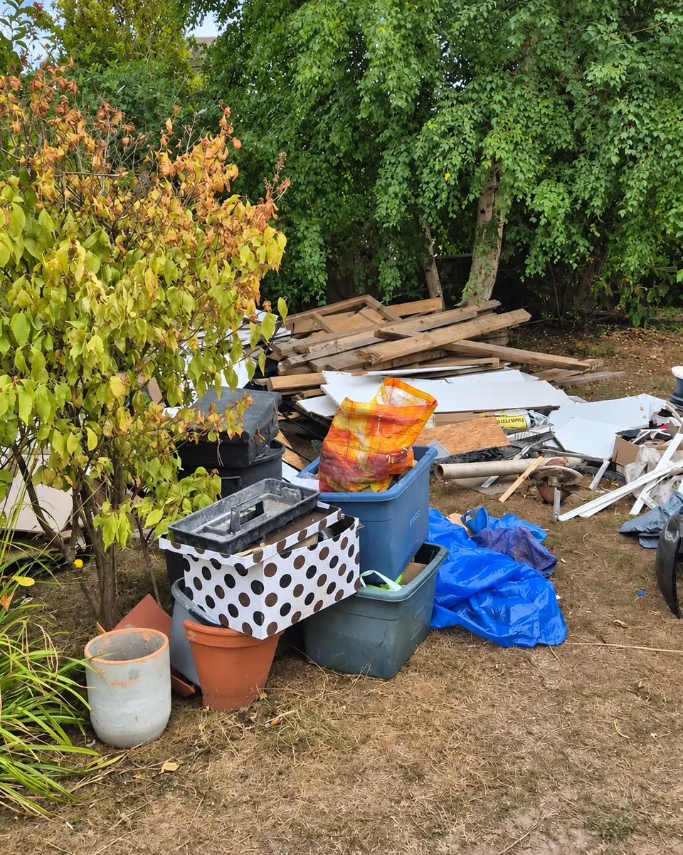 Before: garden junk, boxes and plastic bags heaped under a tree